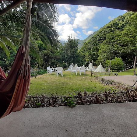 Nature Retreat - Laurel Forest Seixal  Luaran gambar