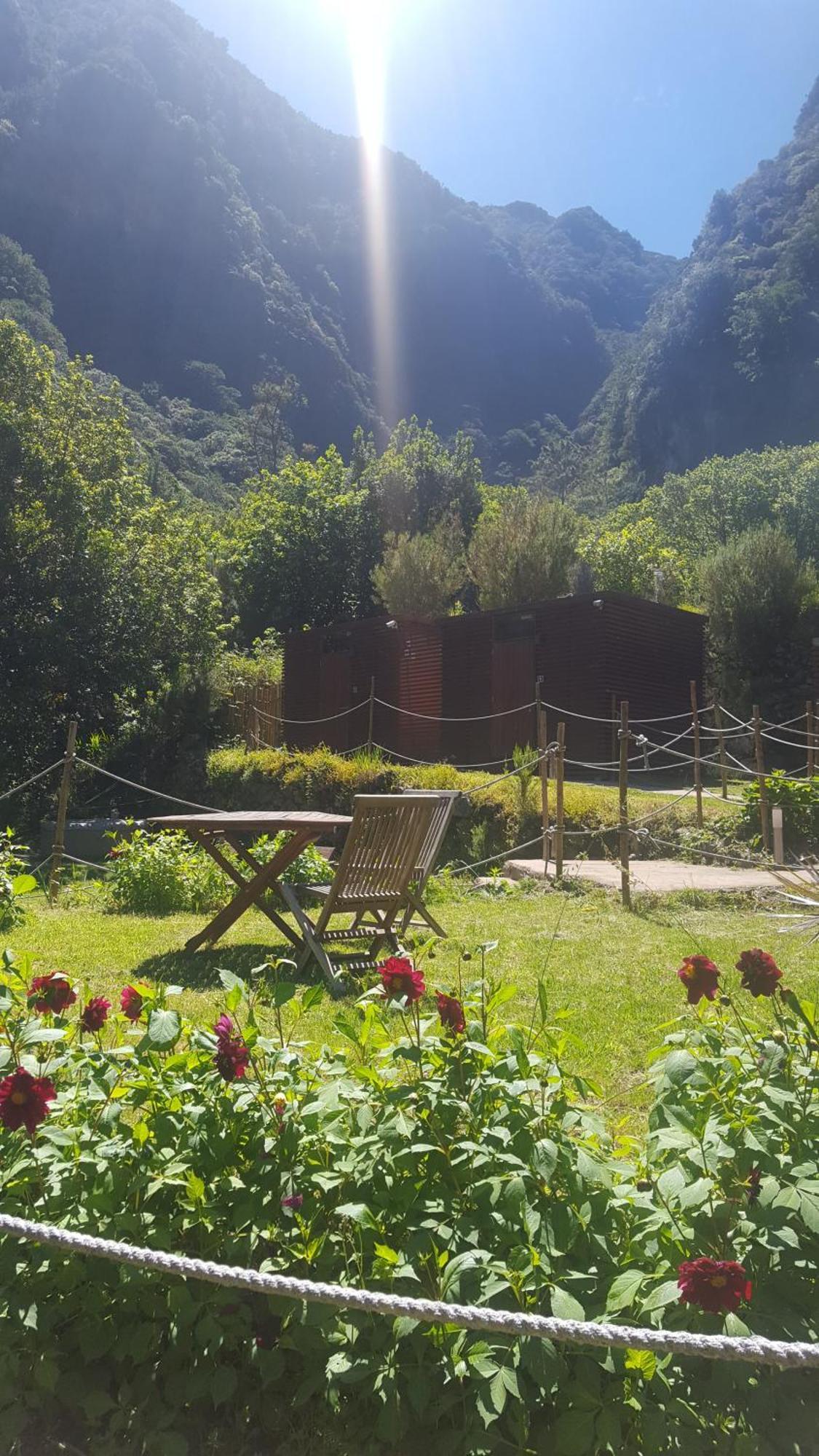 Nature Retreat - Laurel Forest Seixal  Luaran gambar