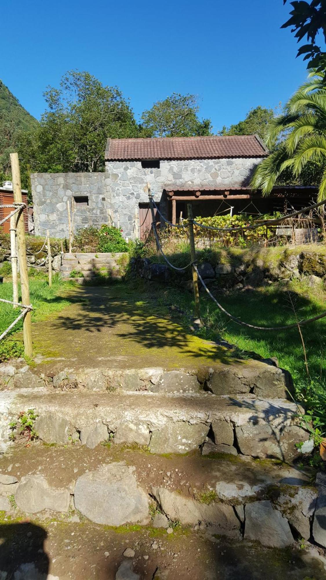 Nature Retreat - Laurel Forest Seixal  Luaran gambar
