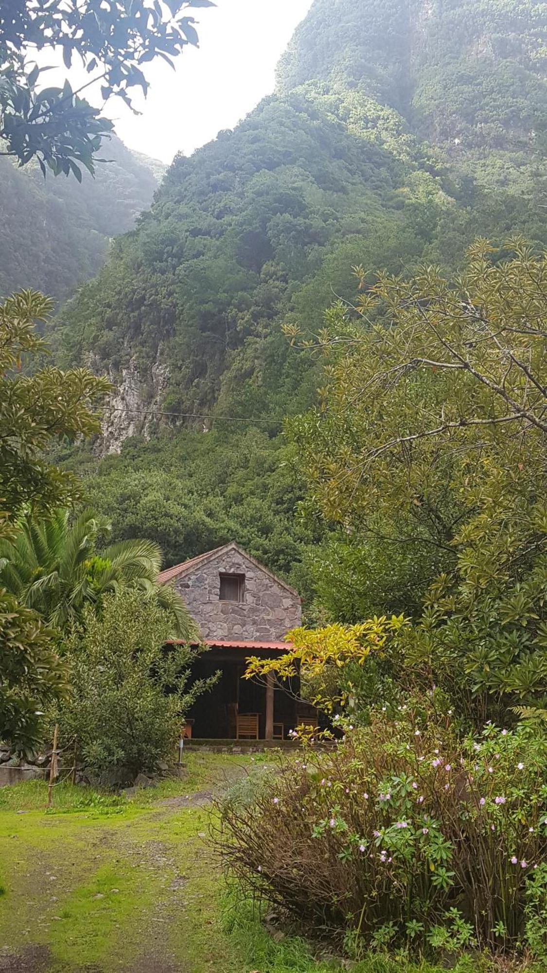 Nature Retreat - Laurel Forest Seixal  Luaran gambar