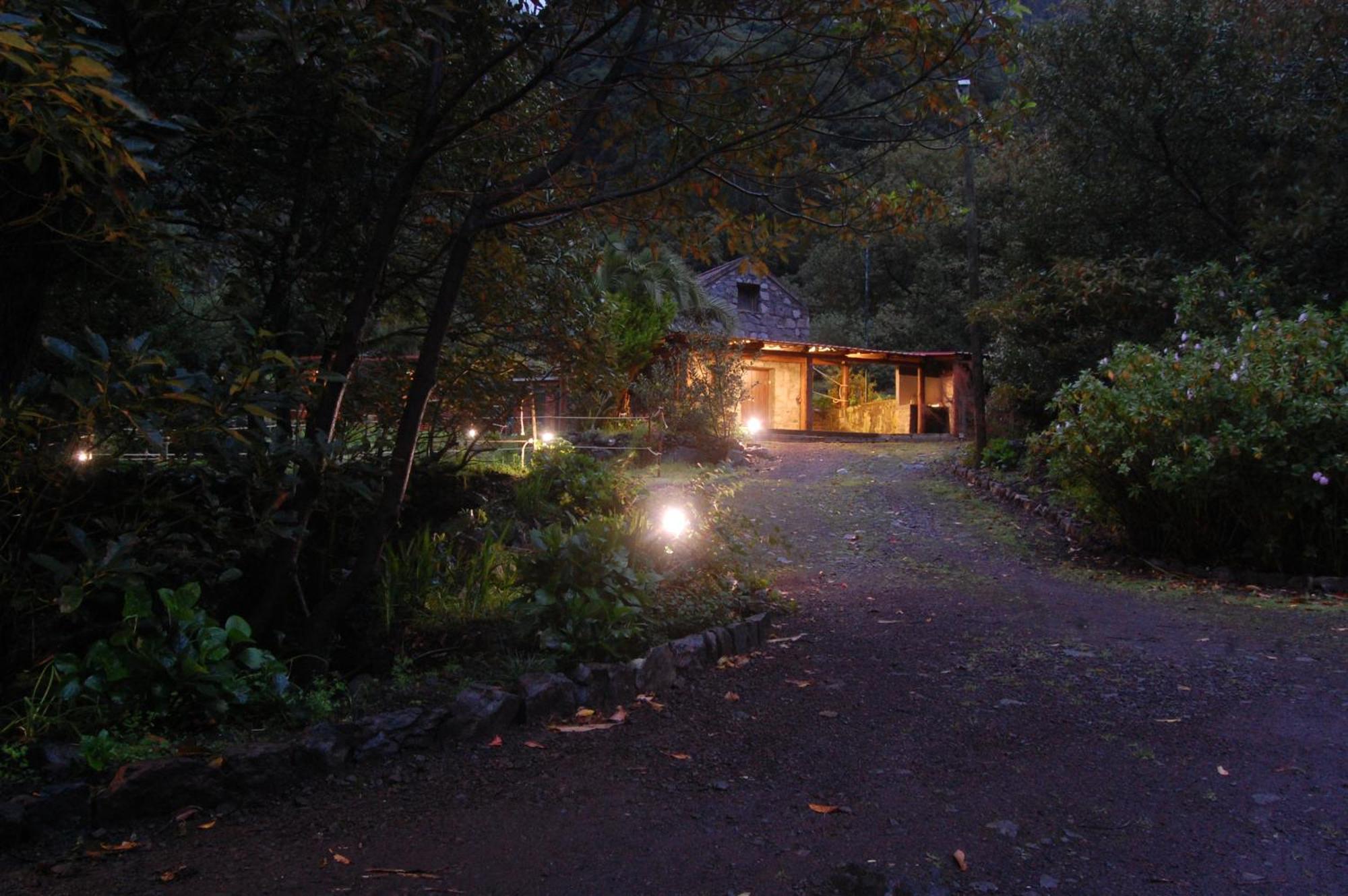 Nature Retreat - Laurel Forest Seixal  Luaran gambar