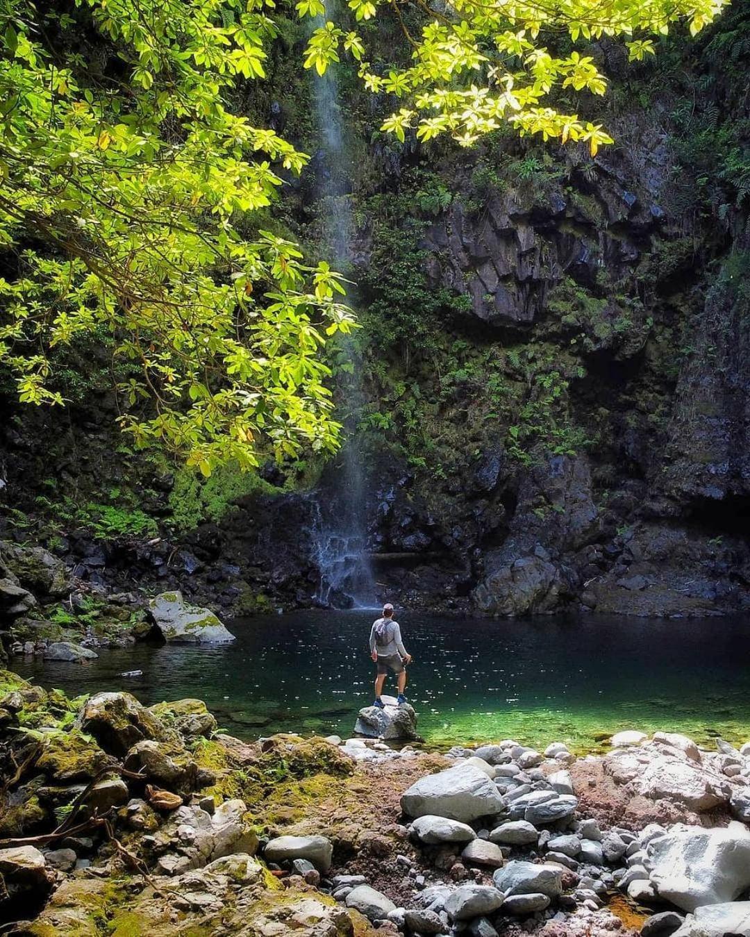 Nature Retreat - Laurel Forest Seixal  Luaran gambar